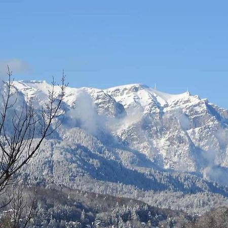 Sinaia Alpineview Residence ภายนอก รูปภาพ