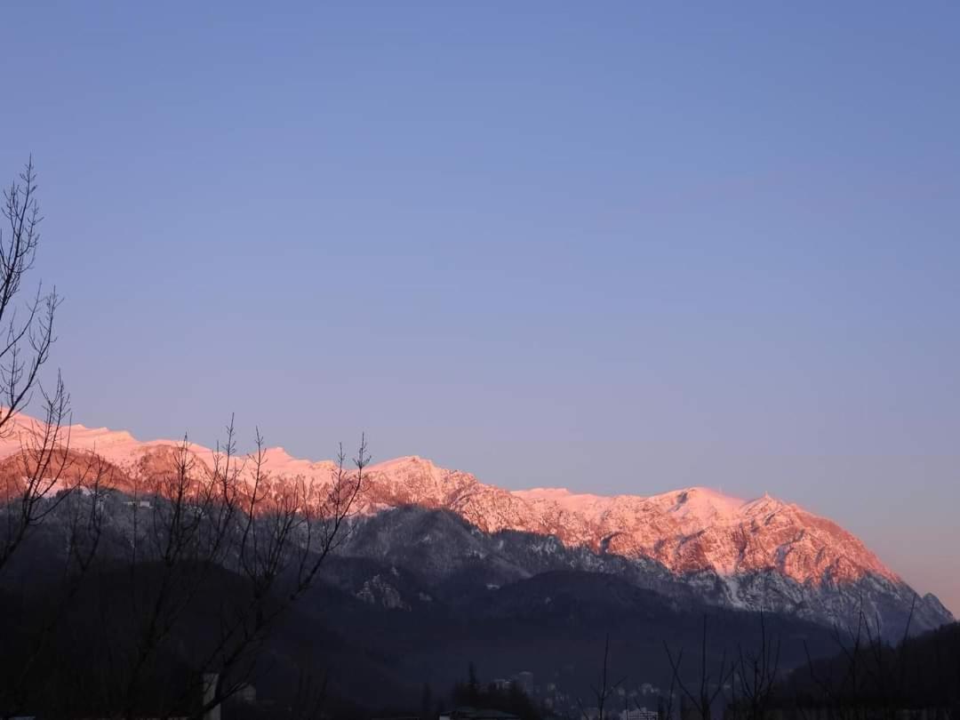 Sinaia Alpineview Residence ภายนอก รูปภาพ