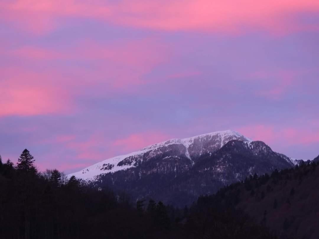 Sinaia Alpineview Residence ภายนอก รูปภาพ