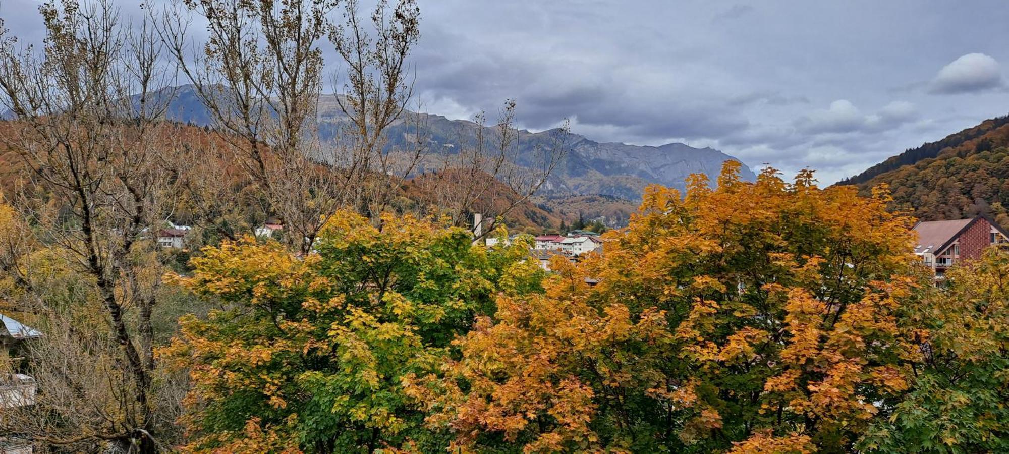 Sinaia Alpineview Residence ภายนอก รูปภาพ